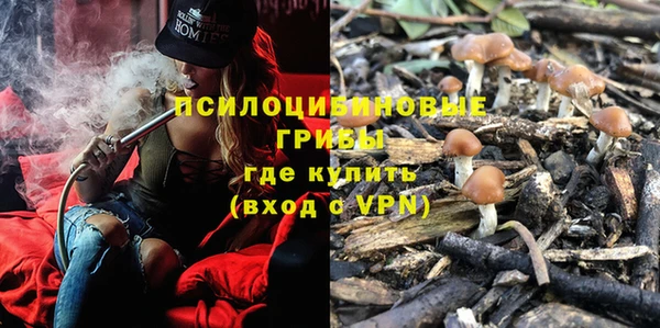 МДПВ Абинск