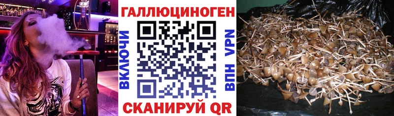 Галлюциногенные грибы Magic Shrooms  Белая Калитва 
